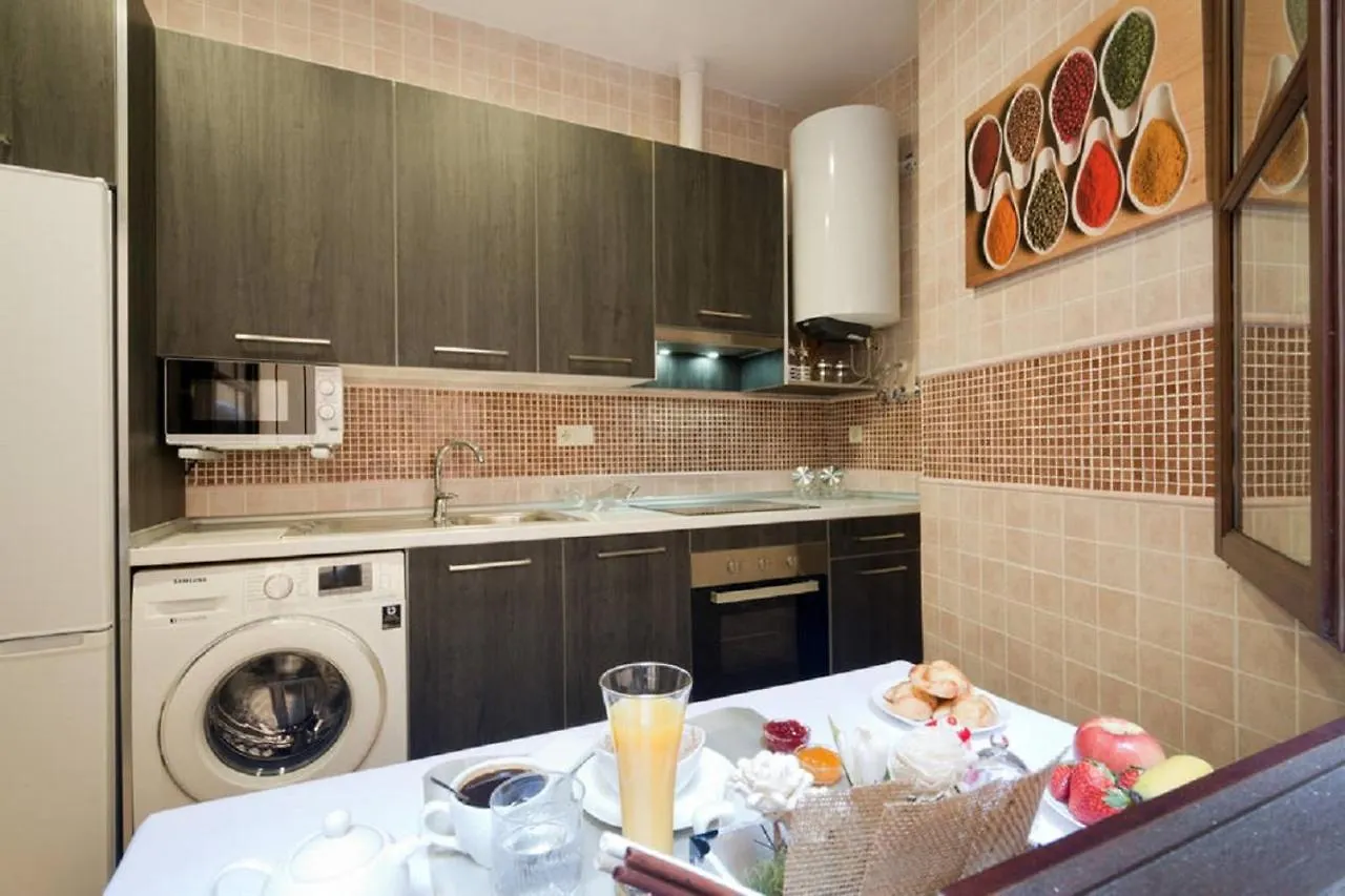 Reyes Catolicos I Apartment Granada 0*,