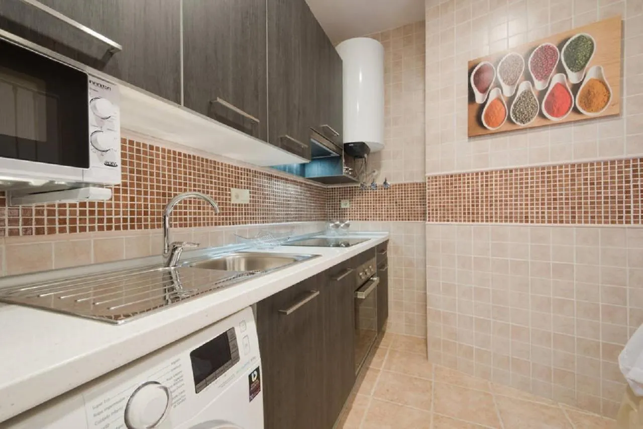 Reyes Catolicos I Apartment Granada 0*,